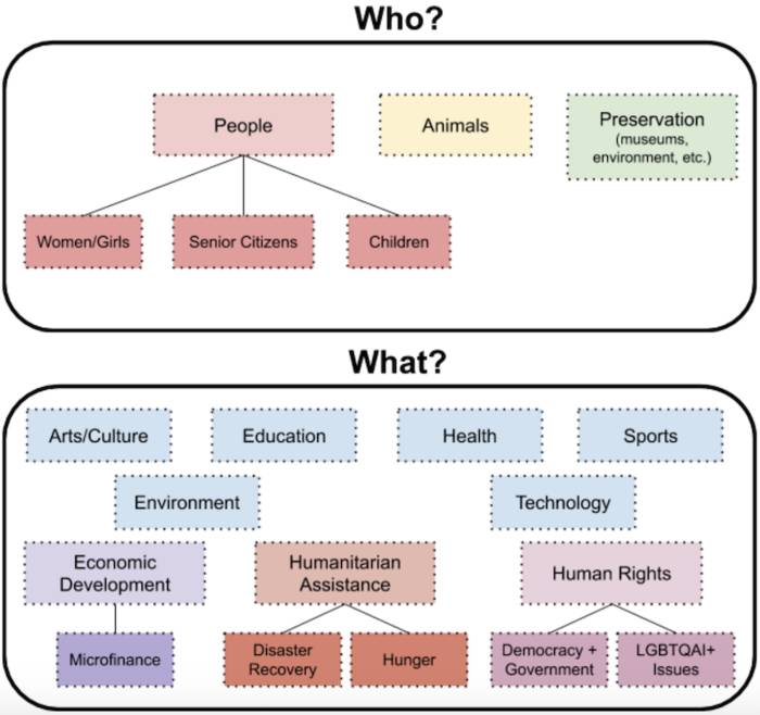 Revised Categorization Schema